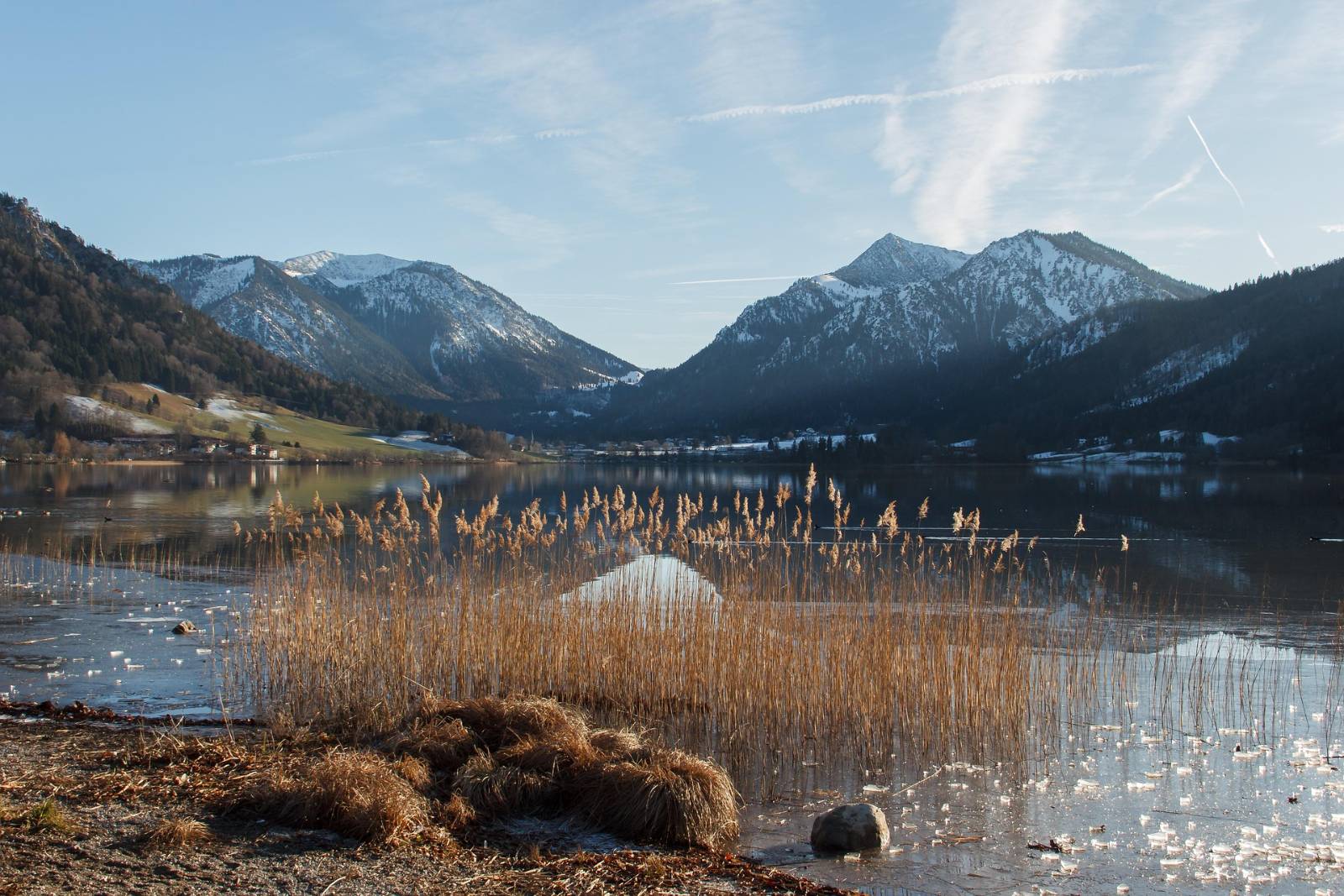 Schilfufer am Schliersee