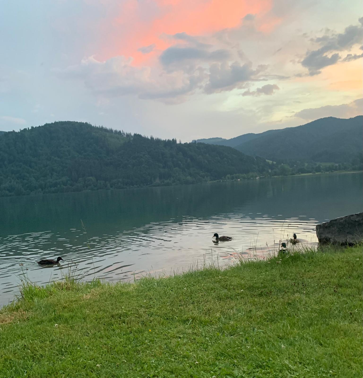Schliersee Sommer mit Liegewiese und Bergpanorama — eigene Aufnahme