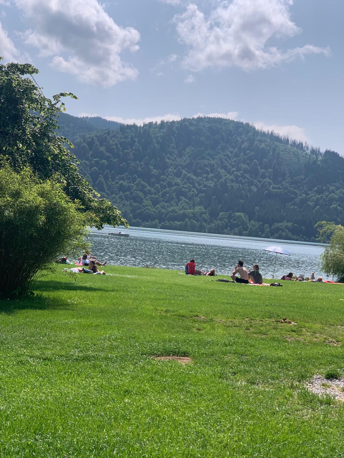 Schliersee im Herbst mit Enten in der Abenddämmerung — eigene Aufnahme